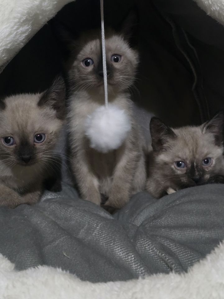 300 000 сум