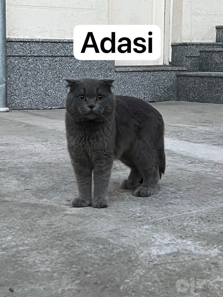 400 000 сум