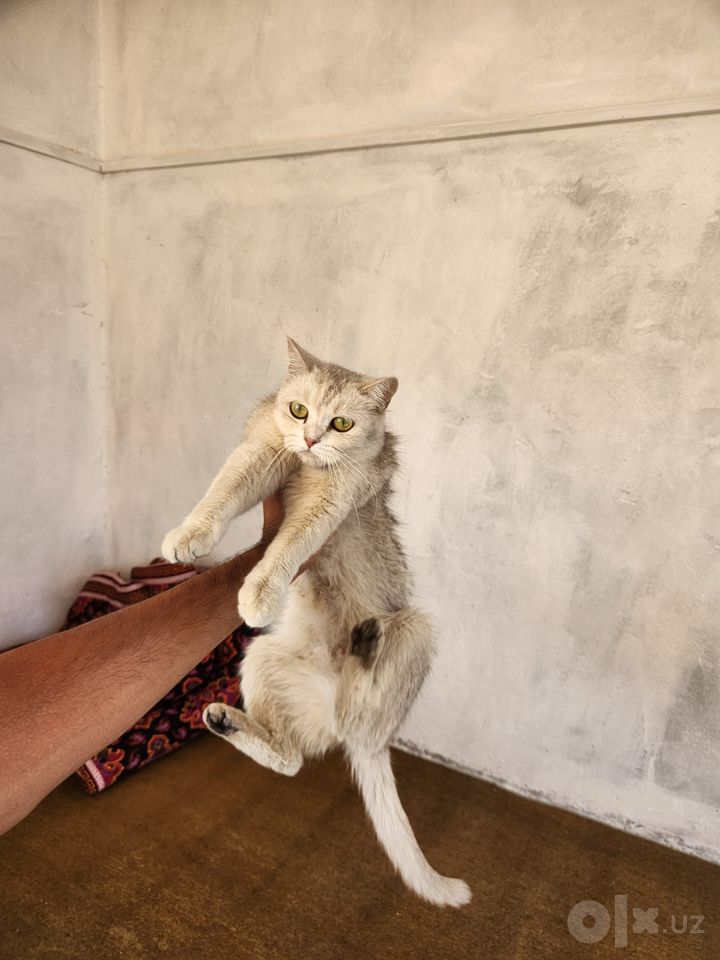 1 400 000 сум