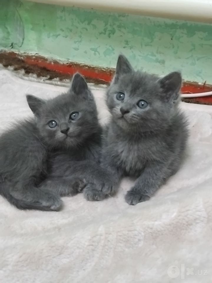 1 000 000 сум