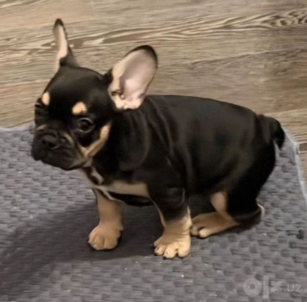 450 USD