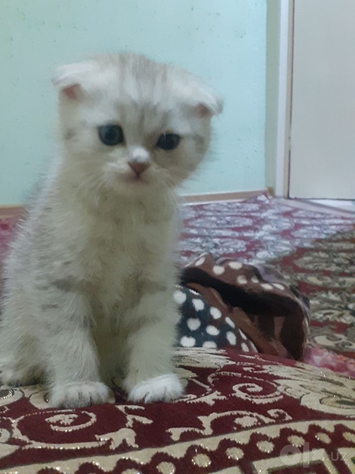 1 300 000 UZS