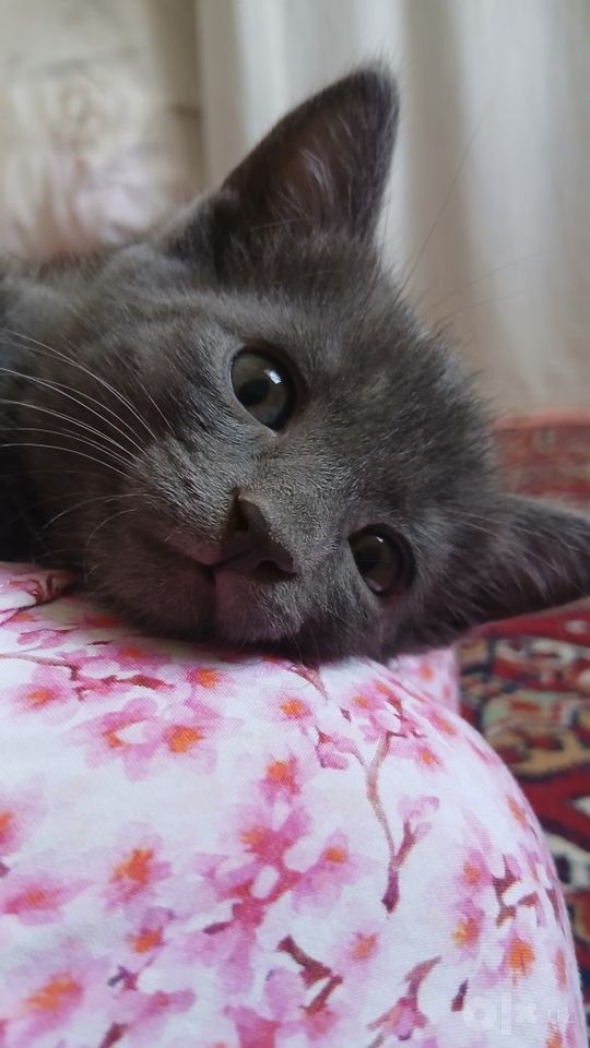 400 000 сум