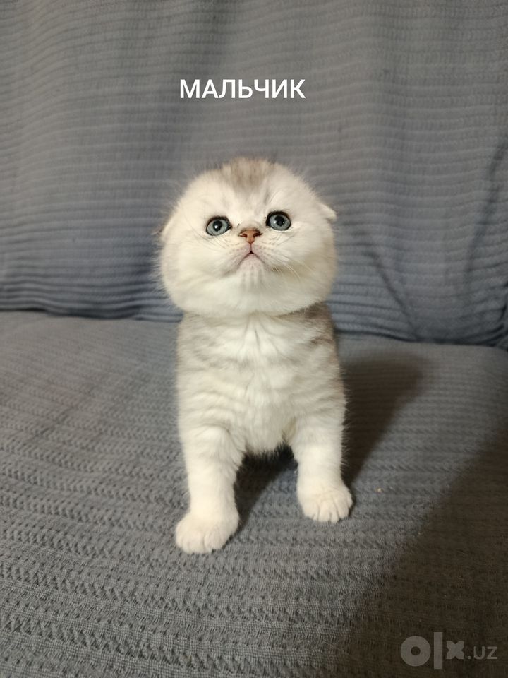 300 USD
