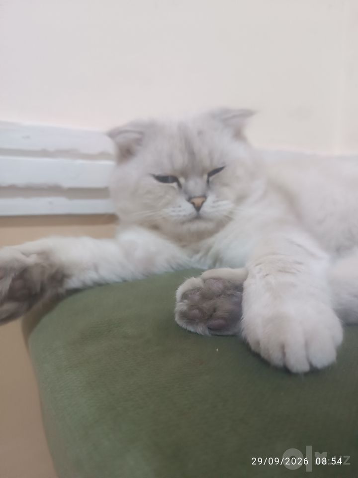 1 200 000 сум