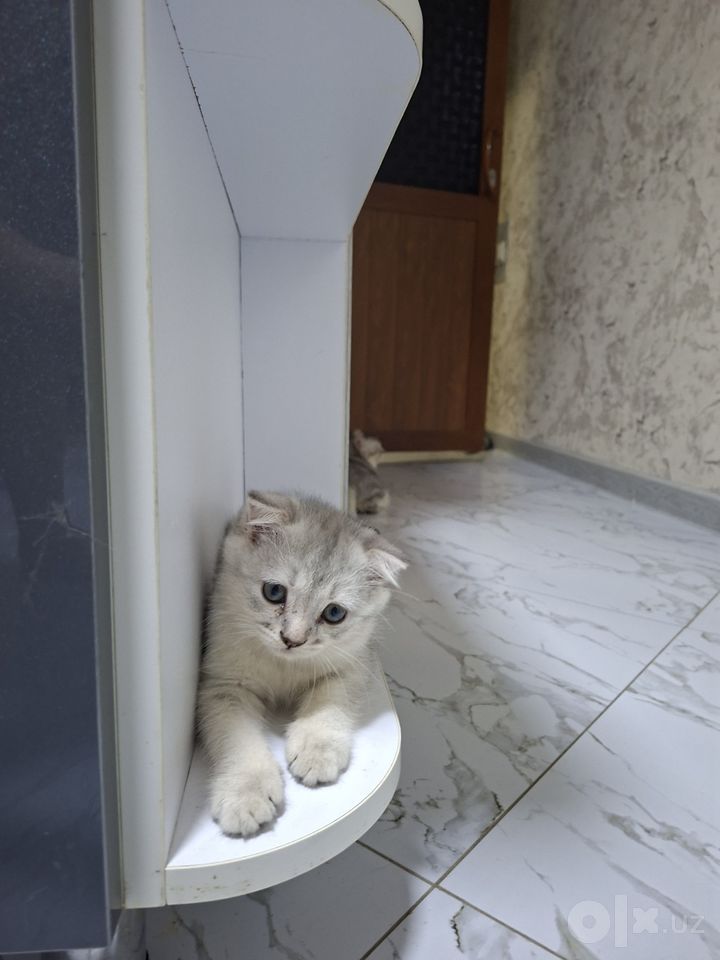 500 000 сум
