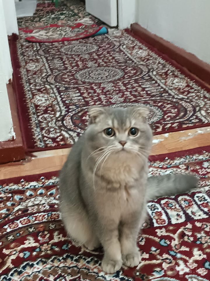 2 500 000 сум