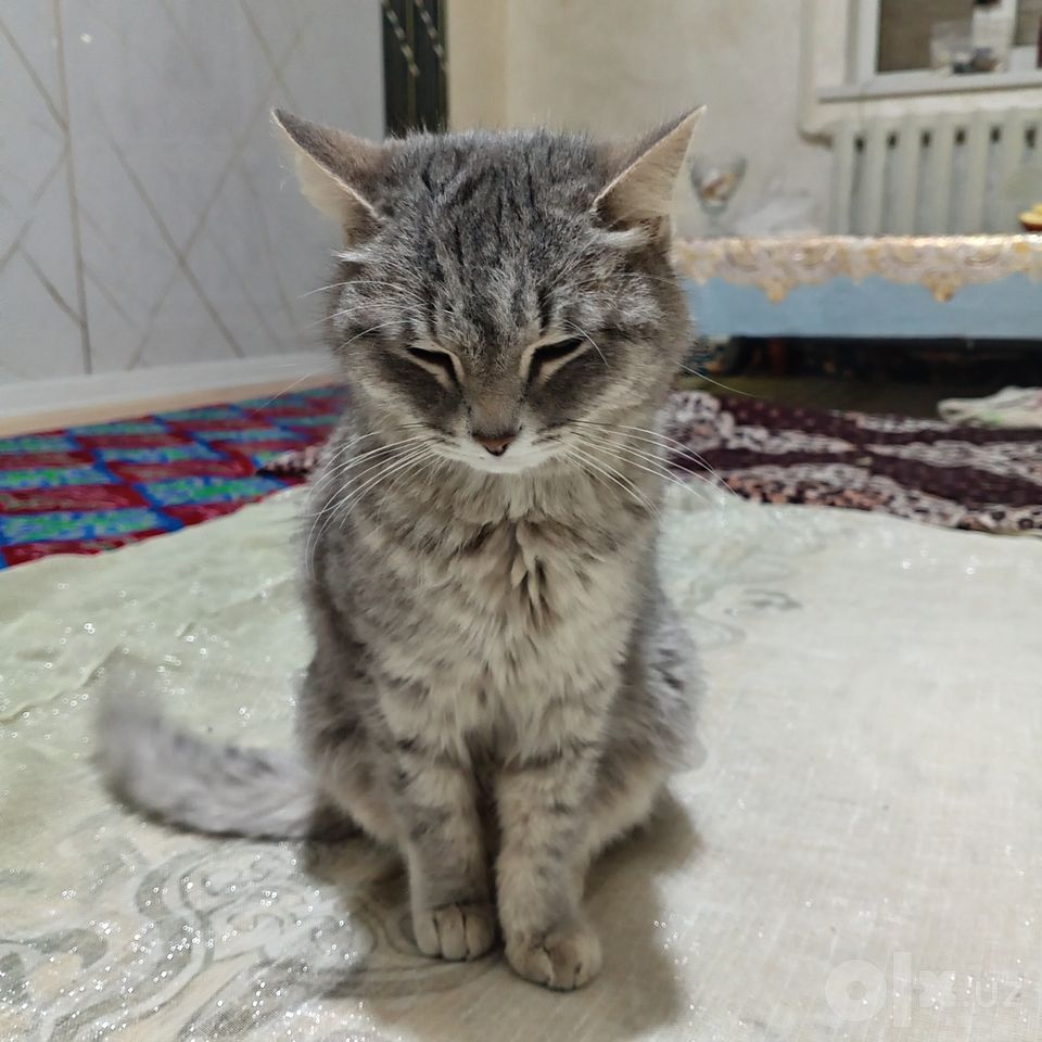 500 000 сум