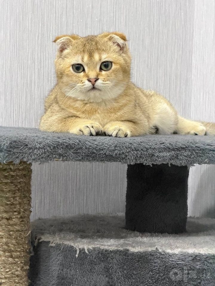 140 USD
