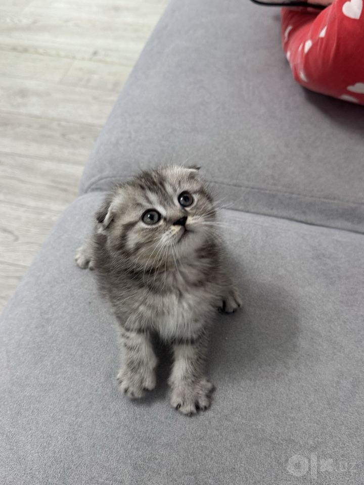 1 000 000 сум