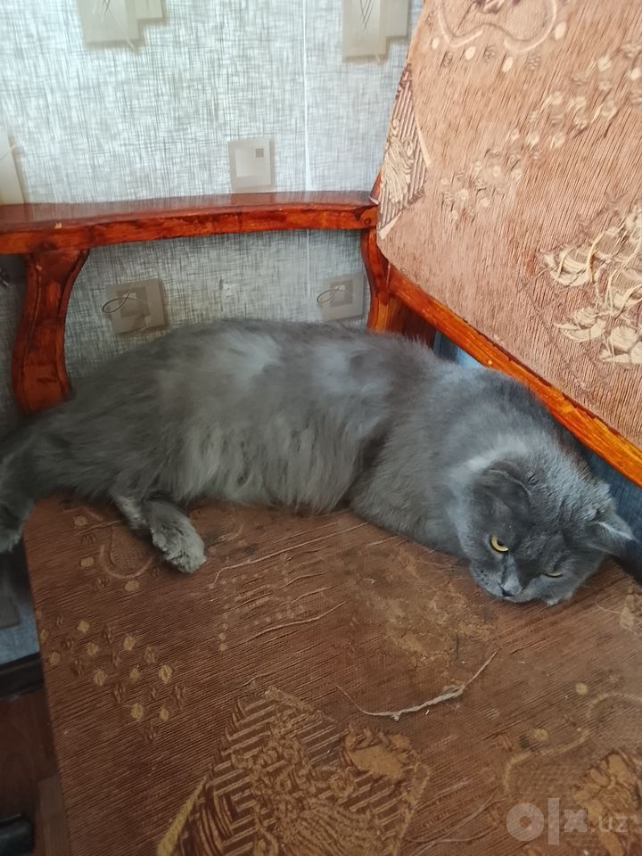 1 700 000 сум