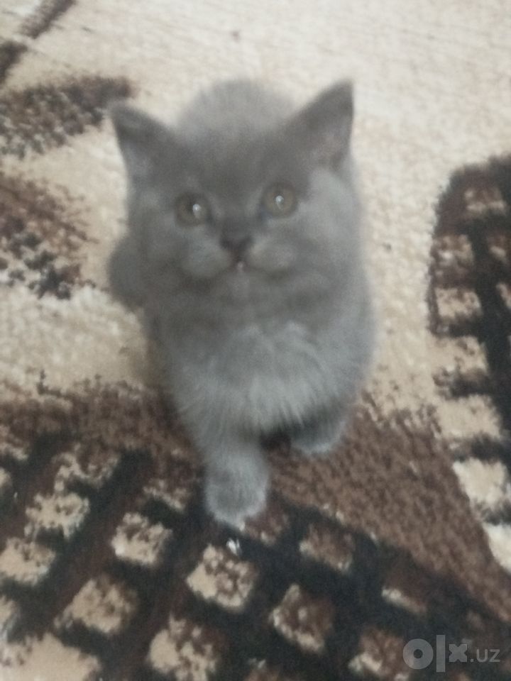 900 000 сум