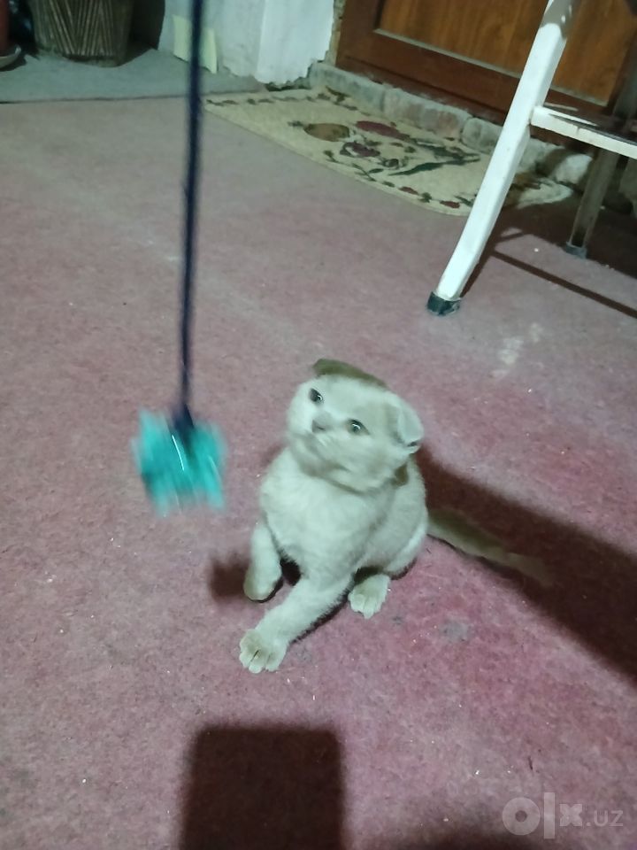 1 000 000 сум