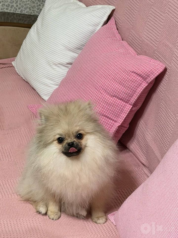 500 USD