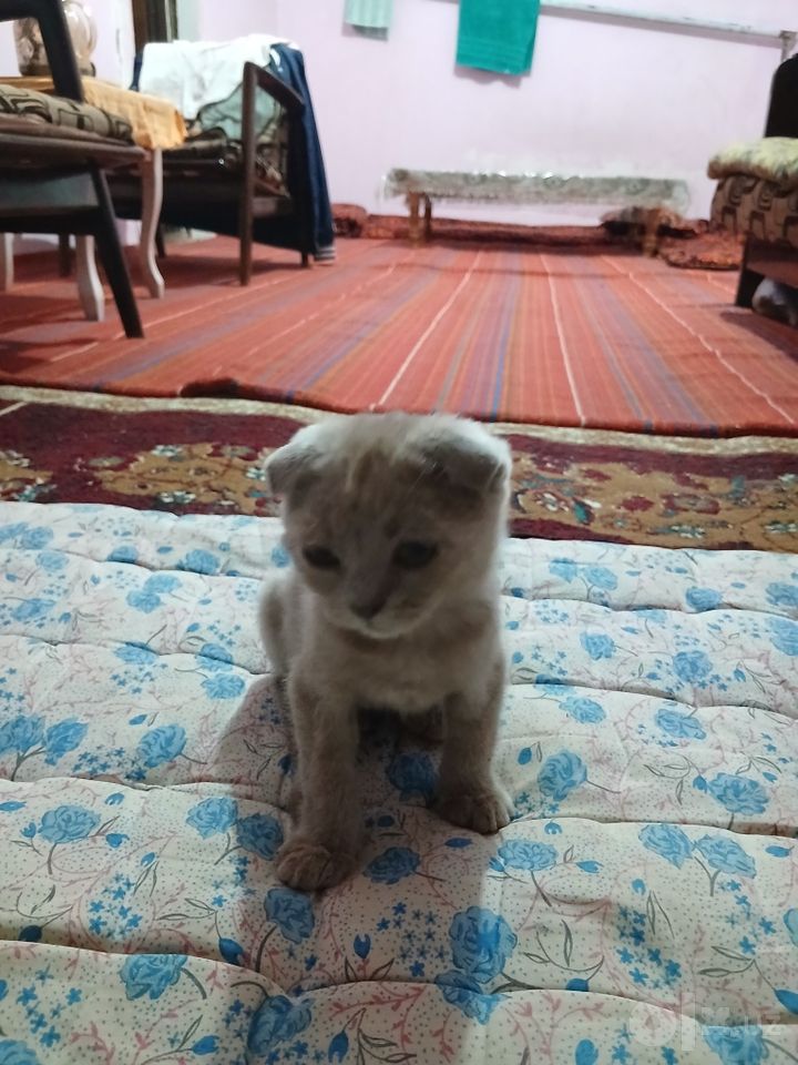 1 000 000 сум
