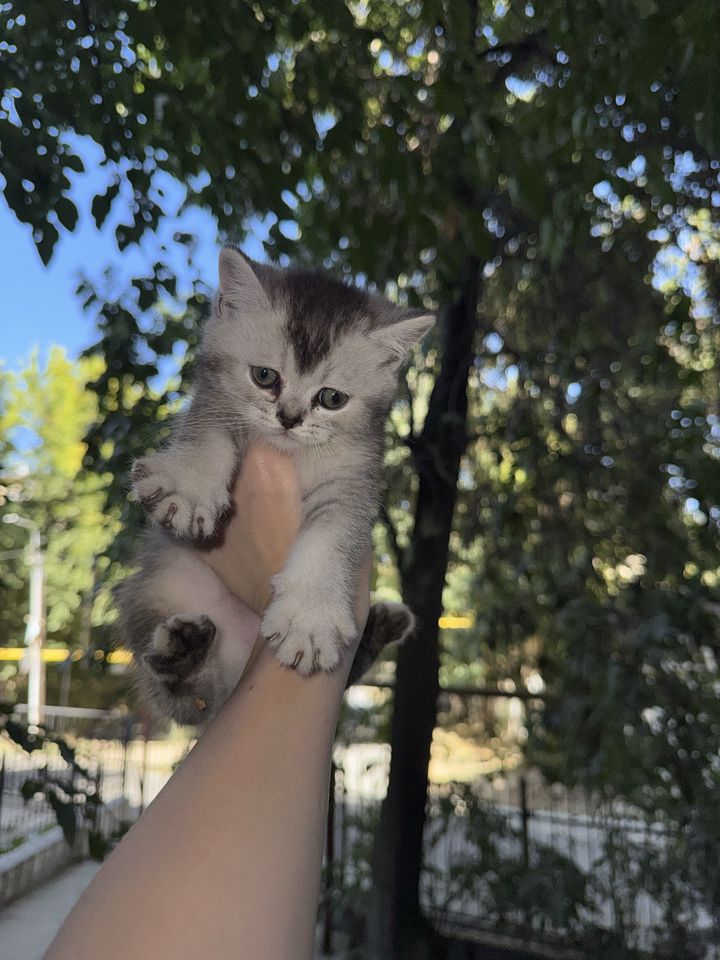 2 200 000 сум