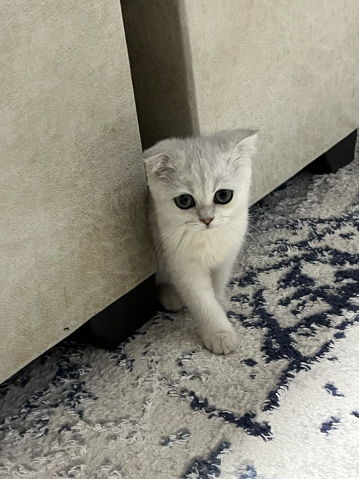 1 700 000 сум
