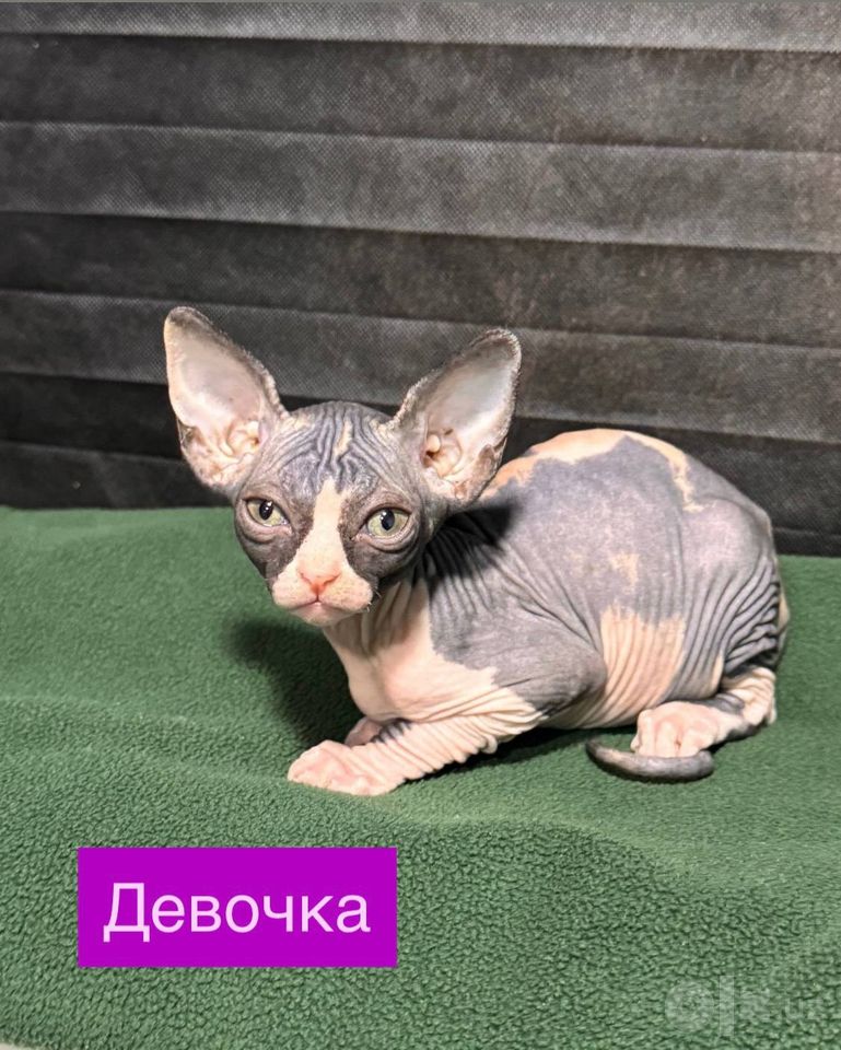 150 USD