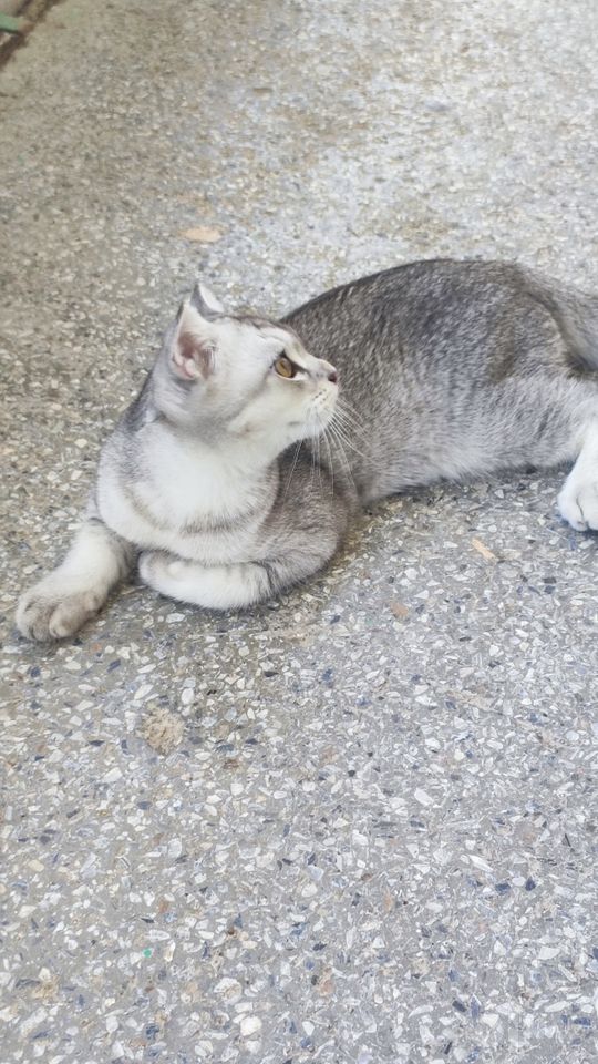 100 USD