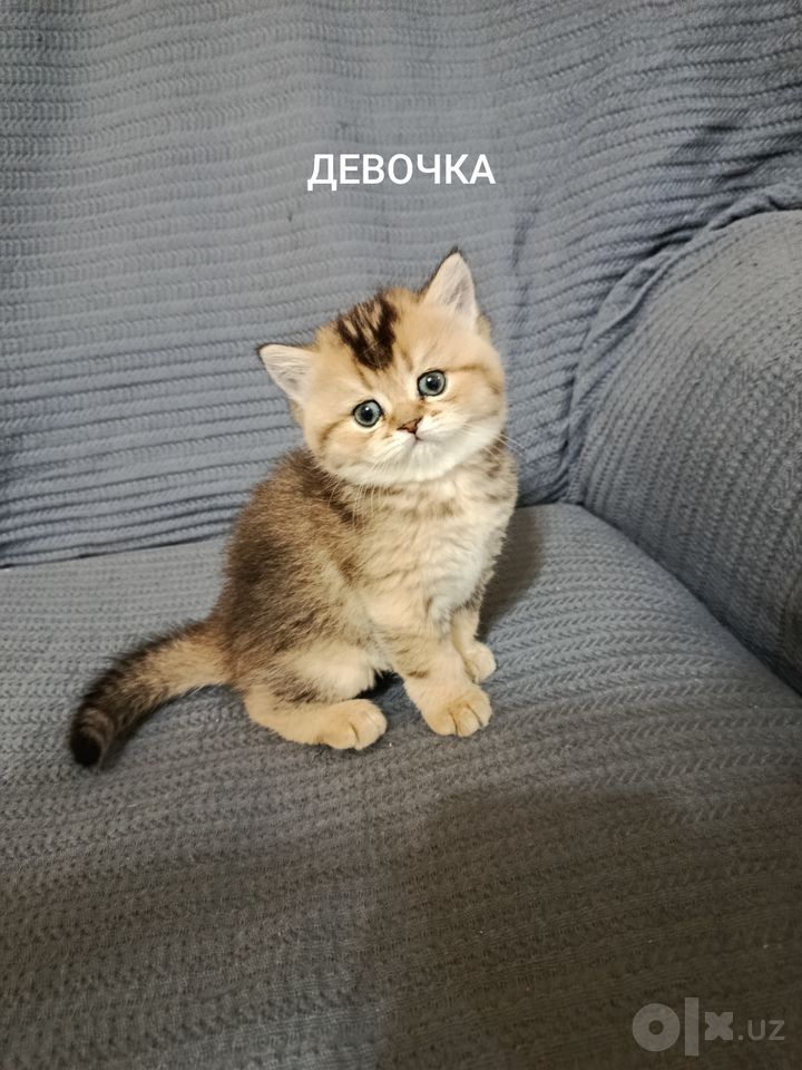 300 USD