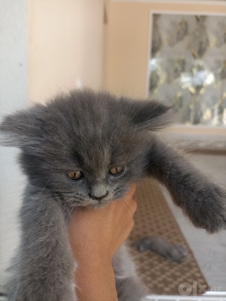 1 000 000 сум
