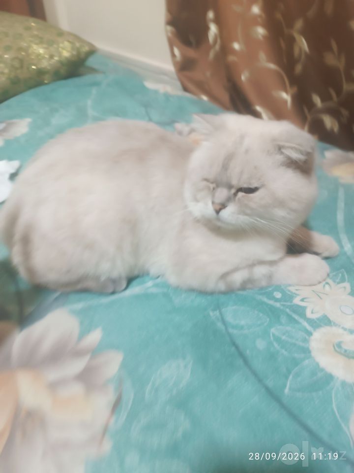 1 200 000 сум