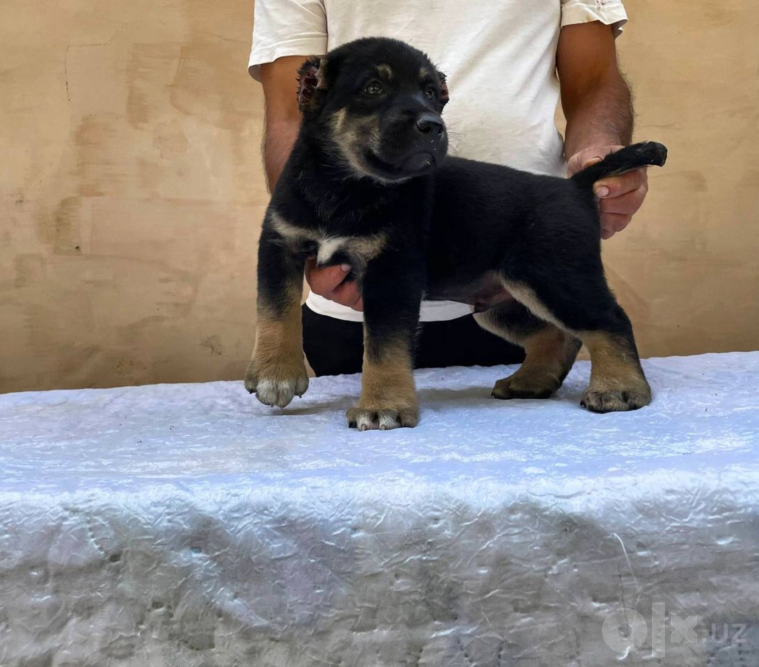 130 USD