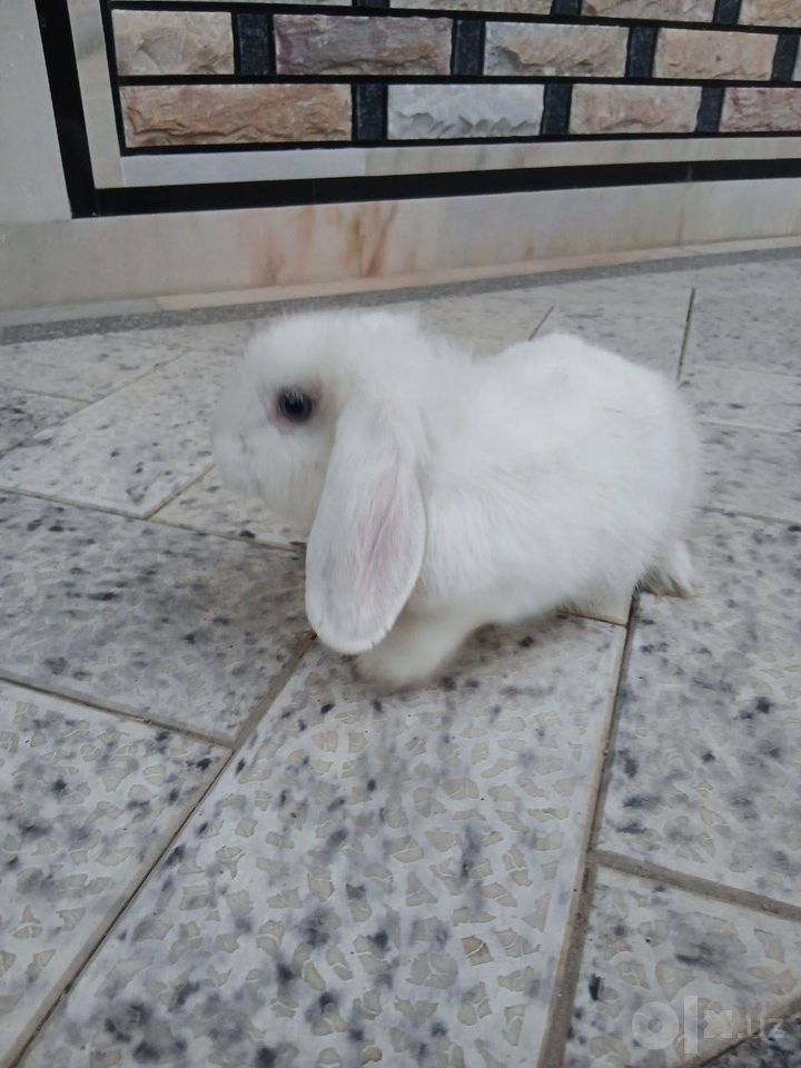 300 000 сум