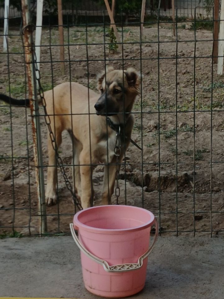 2 000 000 сум