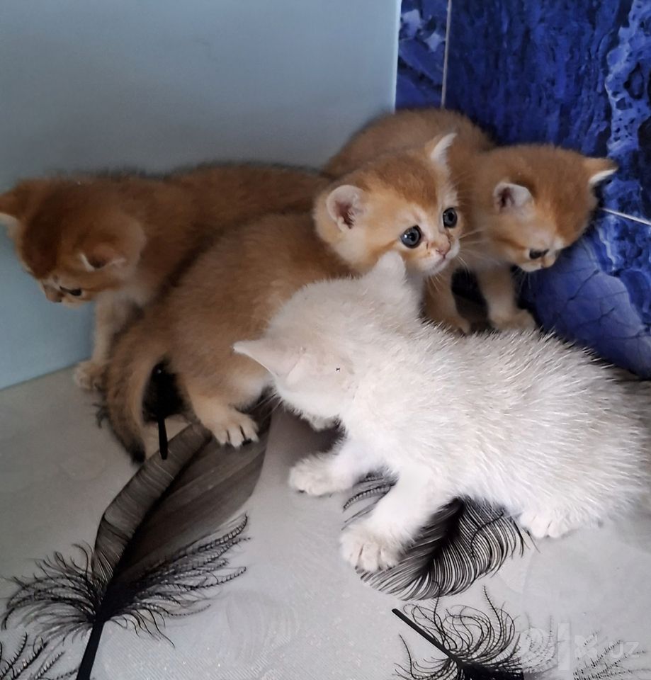 120 USD