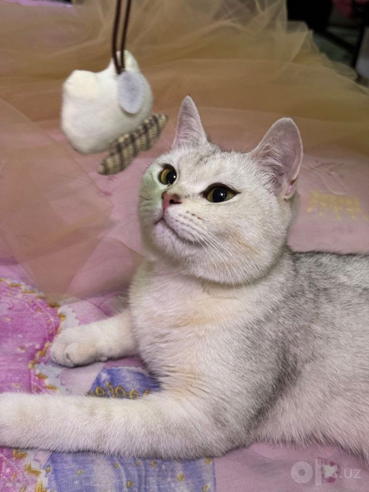 70 USD