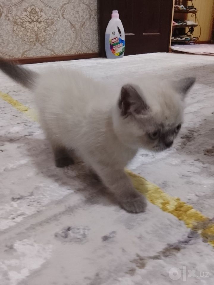 120 USD