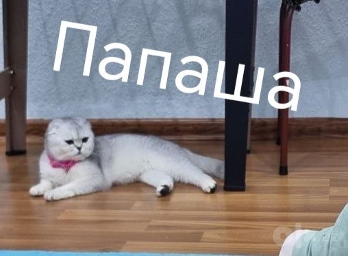 150 USD