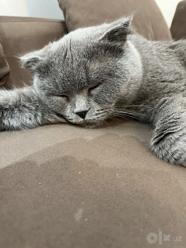 1 000 000 сум