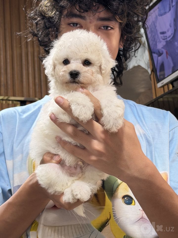 400 USD