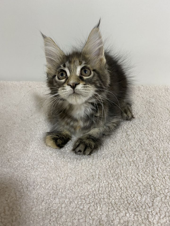 350 USD