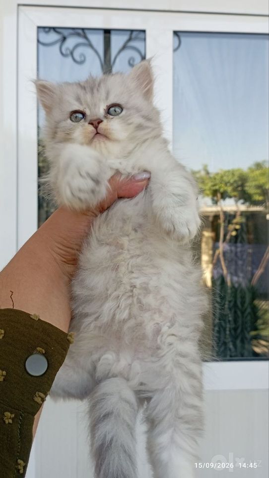 800 000 сум