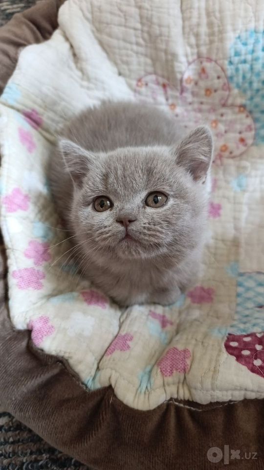 1 000 000 сум
