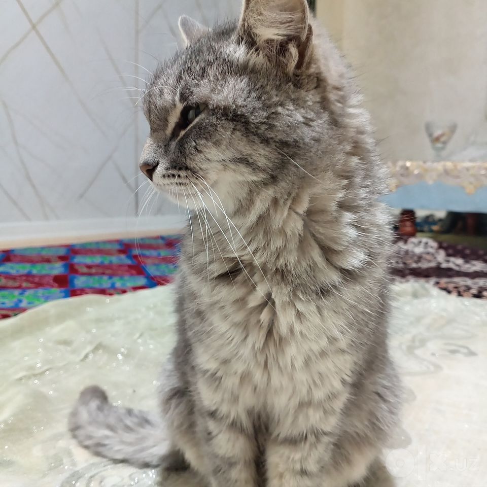 500 000 сум
