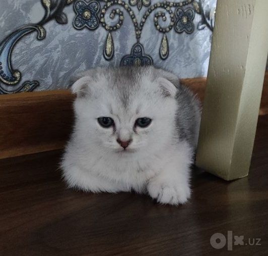 120 USD