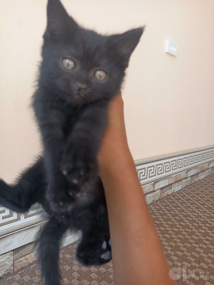 1 000 000 сум