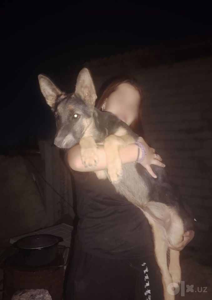 4 000 000 сум