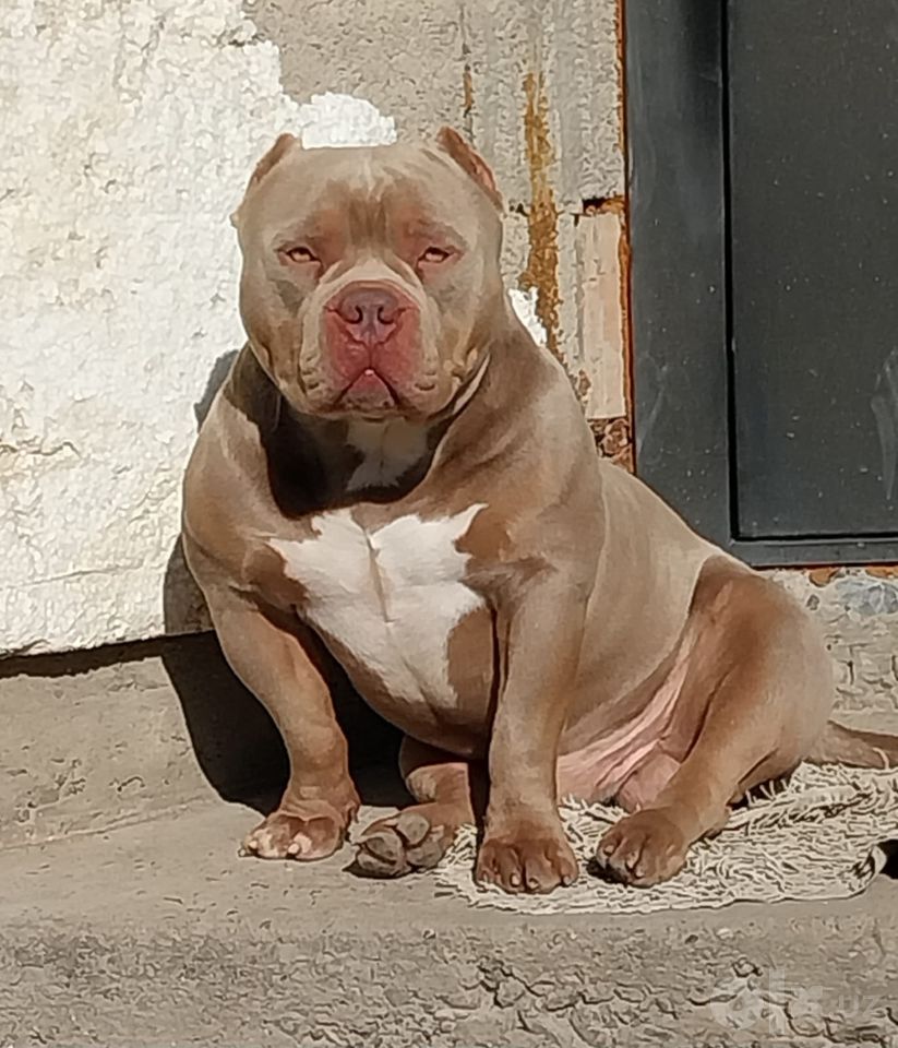 750 USD