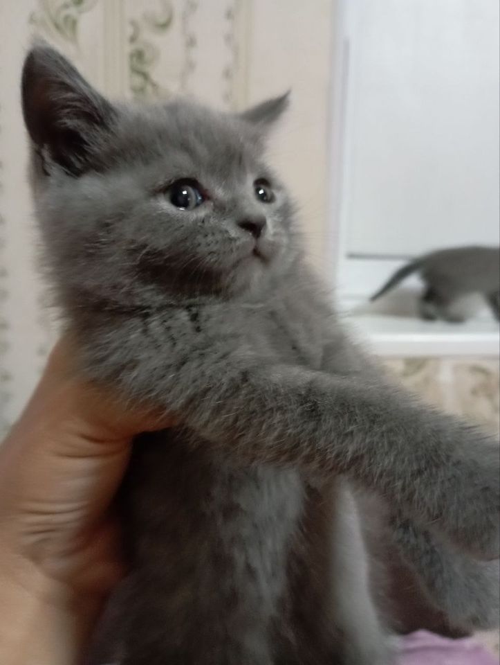 300 000 сум