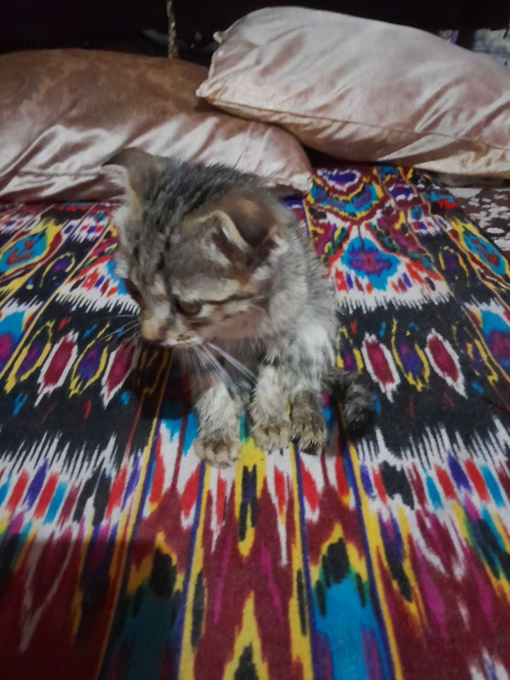 1 000 000 сум