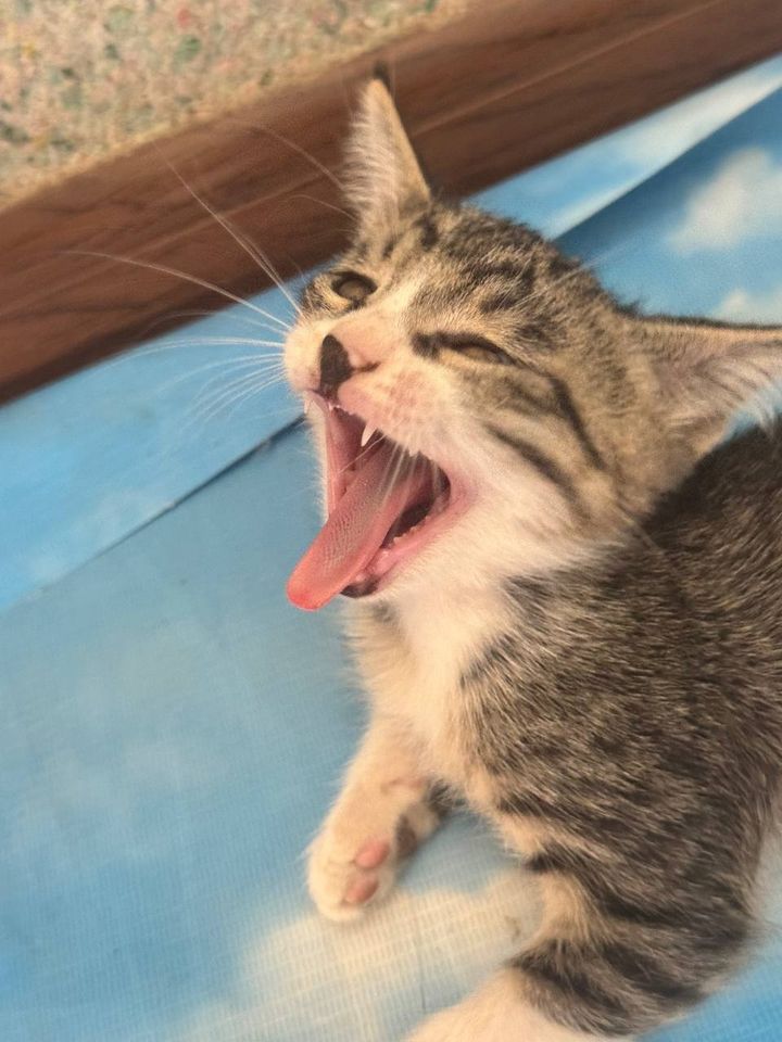100 000 сум