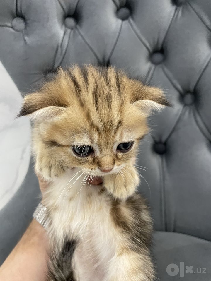 200 USD