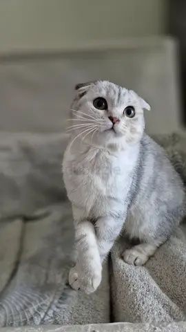 400 000 сум