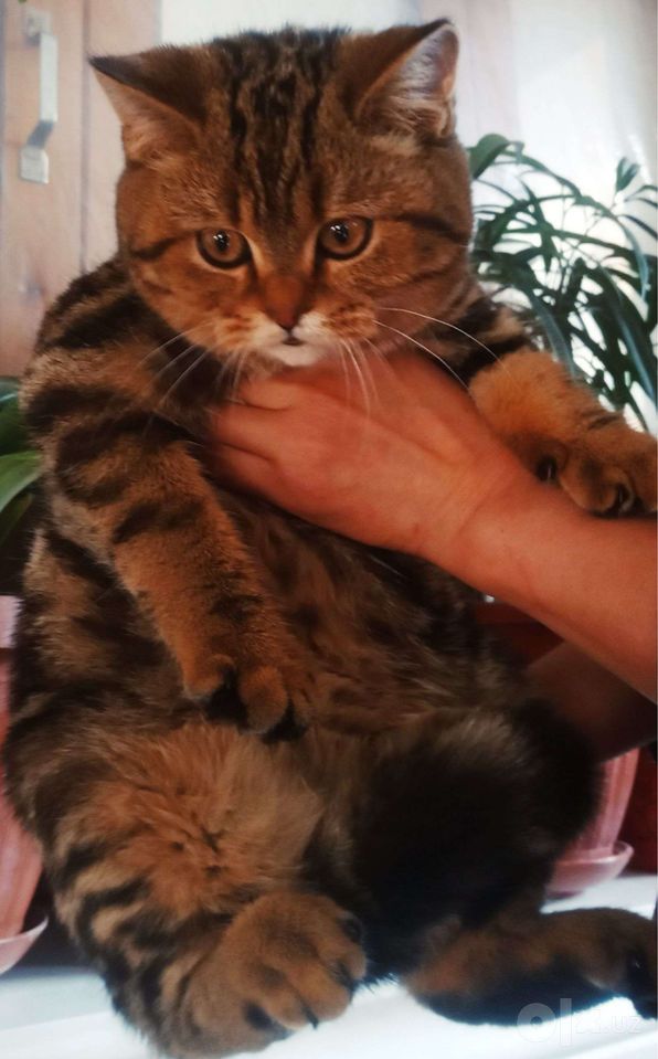 1 500 000 UZS