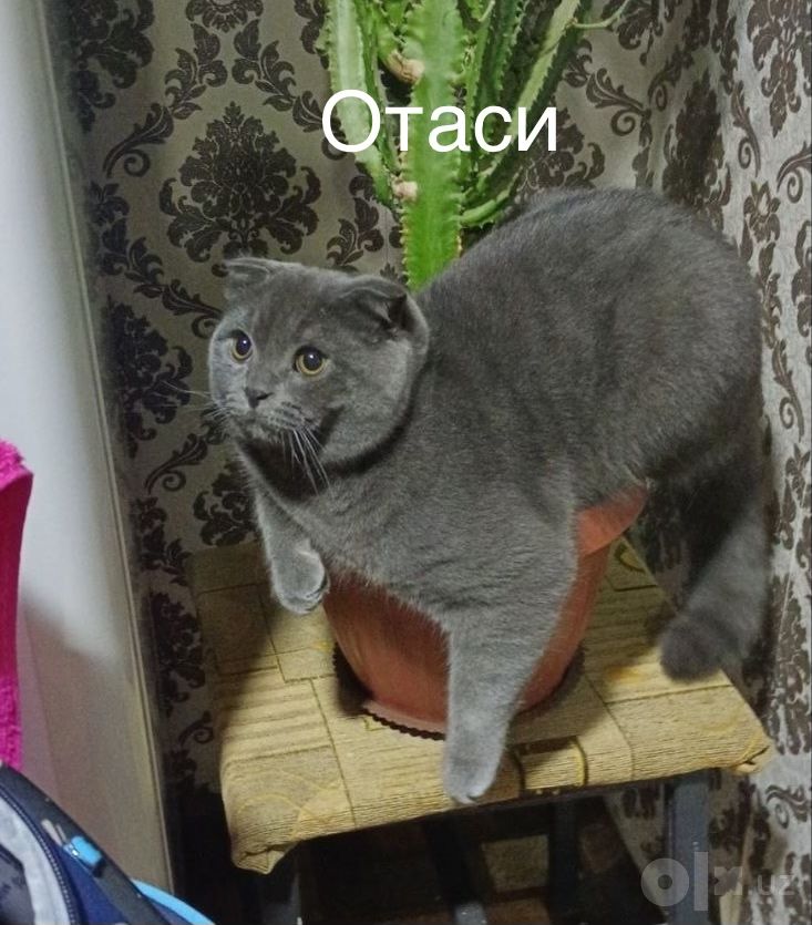100 USD